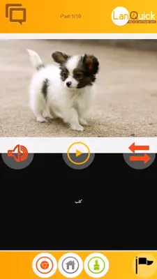 Lanquick Arabic android App screenshot 4